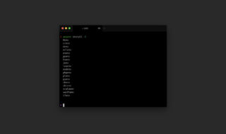 anyenvでMacで使うプログラミング言語のバージョンを管理する