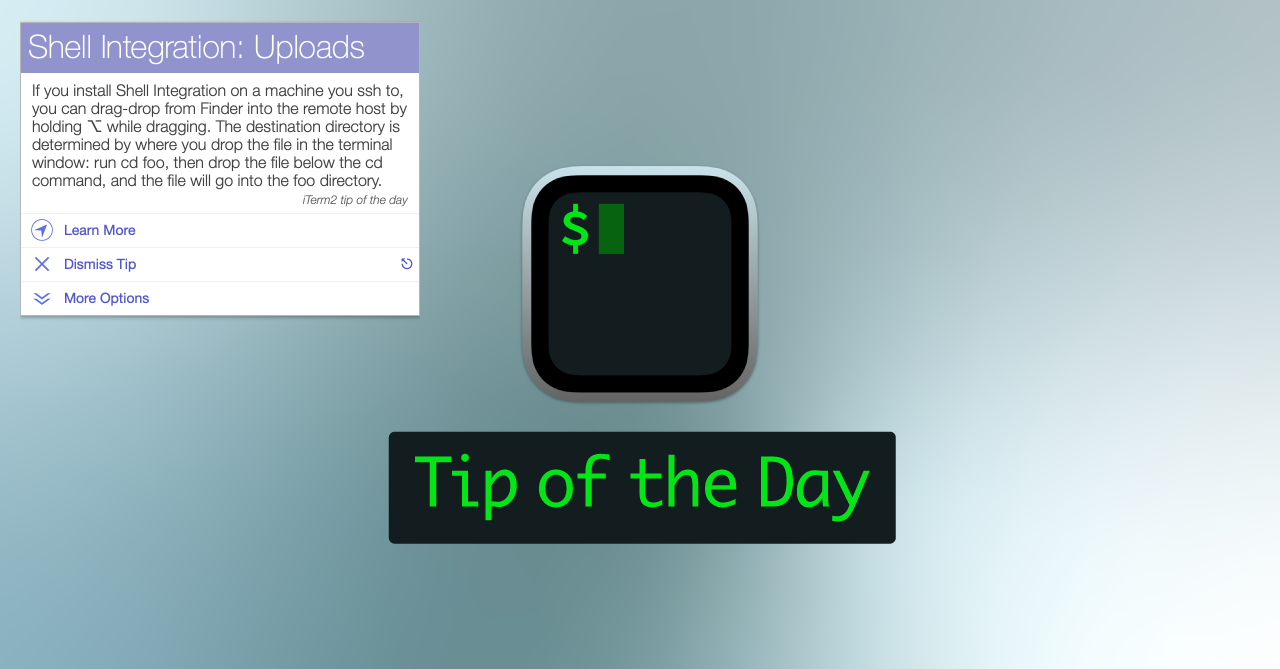 iTerm2で起動時に左上に表示される「Tip of the Day（今日のTip）」を非表示にする方法